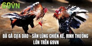 Đá Gà Cựa Dao - Săn Lùng Chiến Kế, Rinh Thưởng Lớn Trên 69VN